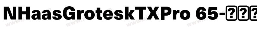 NHaasGroteskTXPro 65字体转换